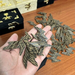 تايقر فتنامي